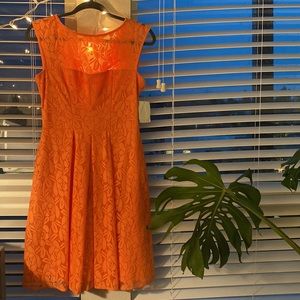 Beautiful Coral Lace London Style Dress sz4